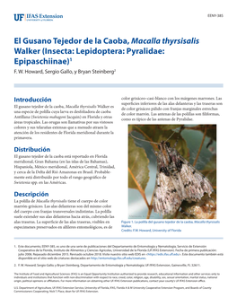 El Gusano Tejedor De La Caoba, Macalla Thyrsisalis Walker (Insecta: Lepidoptera: Pyralidae: Epipaschiinae)1 F