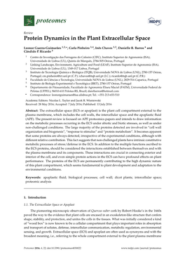 Protein Dynamics in the Plant Extracellular Space