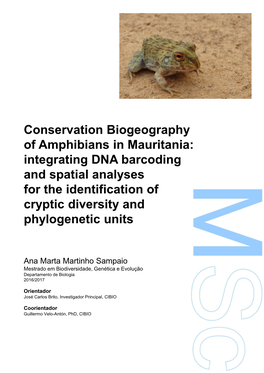 Conservation Biogeography of Amphibians in Mauritania: Integrating DNA Barcoding and Spatial Analyses for the Identification Of