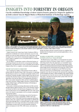 Insights Into Forestry in Oregon