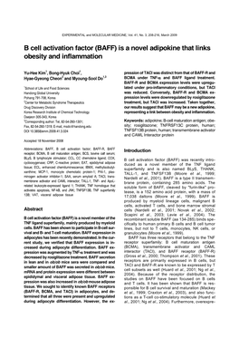 B Cell Activation Factor (BAFF) Is a Novel Adipokine That Links Obesity and Inflammation