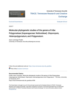 Molecular Phylogenetic Studies of the Genera of Tribe Polygonateae (Asparagaceae: Nolinoideae): Disporopsis, Heteropolygonatum, and Polygonatum