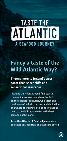Fancy a Taste of the Wild Atlantic Way?