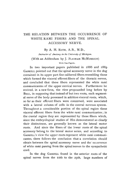 The Kelation Between the Occurrence of Whiterami Fibers and the Spinal Accessory Tu’Ekve