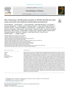 Mice Harbouring a SCA28 Patient Mutation in AFG3L2 Develop Late-Onset Ataxia Associated with Enhanced Mitochondrial Proteotoxicity T