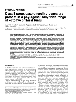 Classii Peroxidase-Encoding Genes Are Present in a Phylogenetically Wide Range of Ectomycorrhizal Fungi