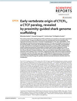 Early Vertebrate Origin of CTCFL, a CTCF Paralog, Revealed by Proximity-Guided Shark Genome Scaffolding