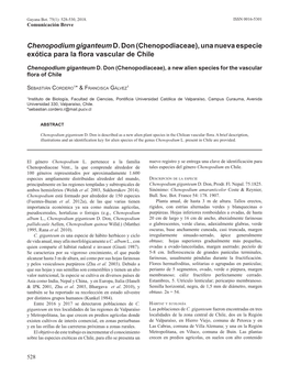 Chenopodium Giganteum D. Don (Chenopodiaceae), Una Nueva Especie Exótica Para La Flora Vascular De Chile