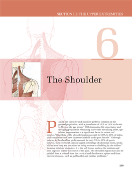 The Shoulder