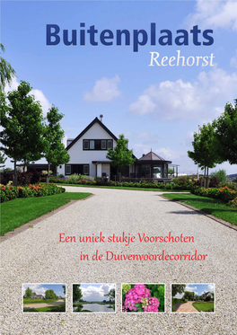 Reehorst Reehorst