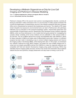 Developing a Midbrain Organoid-On-A-Chip for Live Cell Imaging and Parkinson’S Disease Modeling Team 13: Eugenia Angelopoulos, Victoria Lara-Aguilar, Maria A