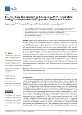 Effect of Low Temperature on Changes in AGP Distribution During Development of Bellis Perennis Ovules and Anthers