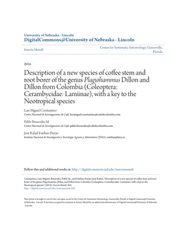 Description of a New Species of Coffee Stem and Root Borer of the Genus &lt;I