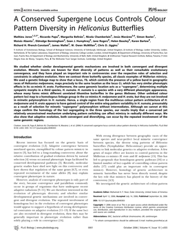 A Conserved Supergene Locus Controls Colour Pattern Diversity in Heliconius Butterflies