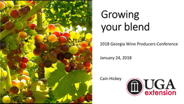 Growing Your Blend