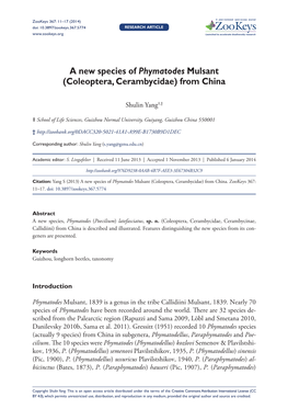 A New Species of Phymatodes Mulsant (Coleoptera, Cerambycidae) from China