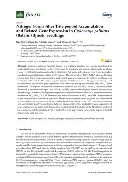 Nitrogen Forms Alter Triterpenoid Accumulation and Related Gene Expression in Cyclocarya Paliurus (Batalin) Iljinsk