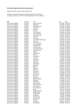 Viken Fylke, Ringerike Kommune, Type+Stedsnavn