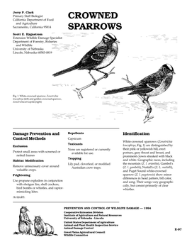 Crowned Sparrows (Zonotrichia Toxicants Exclusion Leucophrys, Fig