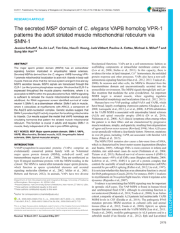 The Secreted MSP Domain of C. Elegans VAPB Homolog VPR-1 Patterns the Adult Striated Muscle Mitochondrial Reticulum Via SMN-1