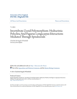 Invertebrate Zooid Polymorphism: Hydractinia Polyclina and Pagurus Longicarpus Interactions Mediated Through Spiralzooids Charlotte M