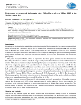 Easternmost Occurrence of Andromeda Goby, Didogobius Schlieweni Miller, 1993, in the Mediterranean Sea