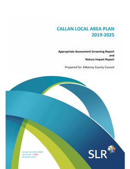 Callan Local Area Plan 2019-2025