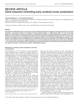 REVIEW ARTICLE Gene Networks Controlling Early Cerebral Cortex Arealization