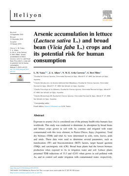 Arsenic Accumulation in Lettuce (Lactuca Sativa L.) and Broad Bean