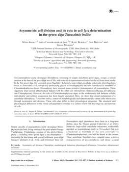 Asymmetric Cell Division and Its Role in Cell Fate Determination in the Green Alga Tetraselmis Indica