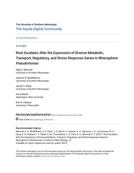 Root Exudates Alter the Expression of Diverse Metabolic, Transport, Regulatory, and Stress Response Genes in Rhizosphere Pseudomonas