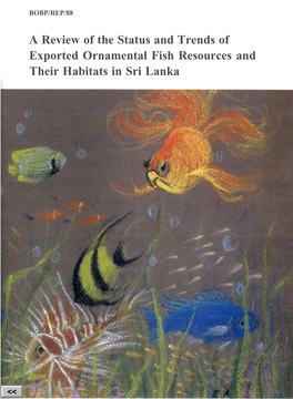 A Review of the Status and Trends of Exported Ornamental Fish Resources and Their Habitats in Sri Lanka BAY of BENGAL PROGRAMME BOBP/REP/88