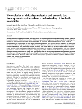 The Evolution of Viviparity: Molecular and Genomic Data from Squamate Reptiles Advance Understanding of Live Birth in Amniotes