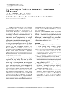 Egg Structures and Egg Teeth in Some Orthopterans (Insecta: Polyneoptera)* Atsuhiro HARADA and Makiko FUKUI