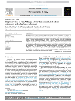 Progressive Loss of Racgap1/Ogre Activity Has Sequential Effects on Cytokinesis and Zebraﬁsh Development