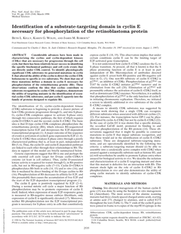 Identification of a Substrate-Targeting Domain in Cyclin E Necessary for Phosphorylation of the Retinoblastoma Protein