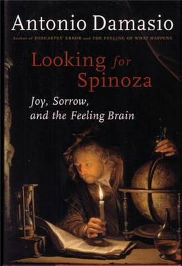 Looking for Spinoza