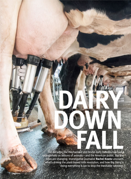 Dairy Downfall