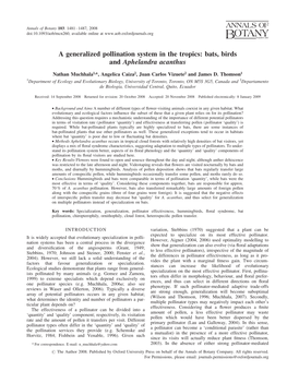 A Generalized Pollination System in the Tropics: Bats, Birds and Aphelandra Acanthus