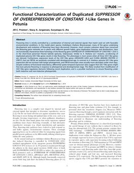 OF OVEREXPRESSION of CONSTANS 1-Like Genes in Petunia