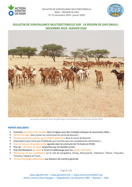 Bulletin De Surveillance Multisectorielle Sur La Region De Gao (Mali) : Decembre 2019- Janvier 2020