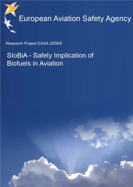 Final Report EASA.2008-6-Light.Pdf