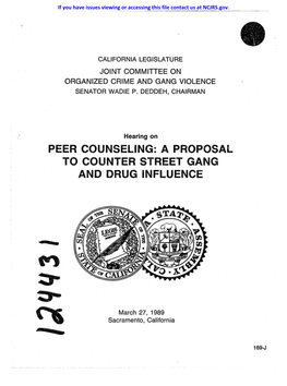Peer Counseling: a Proposal to Counter Street Gang and Drug Influence