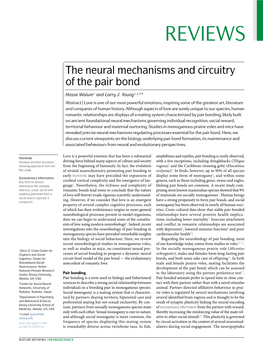 The Neural Mechanisms and Circuitry of the Pair Bond