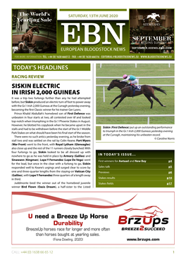 September Siskin Electric in Irish 2,000 Guineas