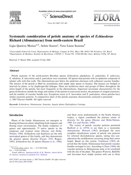 Systematic Consideration of Petiole Anatomy of Species of Echinodorus