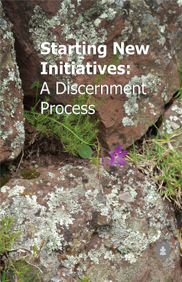 Starting New Initiatives a Discernment Process