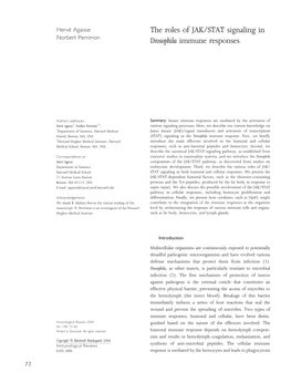 The Roles of JAK/STAT Signaling in Drosophila Immune Responses