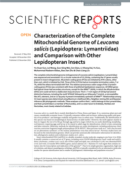 Characterization of the Complete Mitochondrial Genome of Leucoma