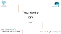 Thoracolumbar Spine